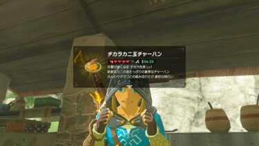 特別な料理で実用性あるやつある？？