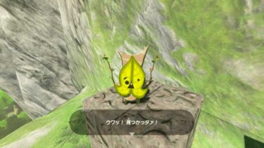 【BotW】コログやっと200ぐらい集めたけど残り700とか・・・【ゼルダの伝説】