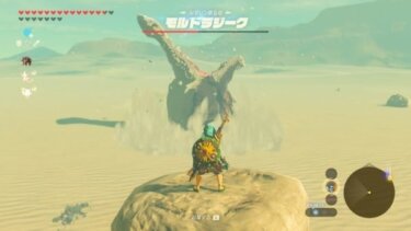 【ブレワイ】モルドラジークとかいうクジラの倒し方がわからん・・・【ゼルダの伝説】