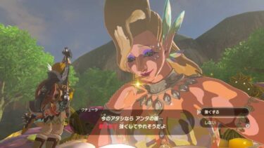大妖精がプルアやパーヤみたいなデザインなら人気爆発してたと思うんだ・・・