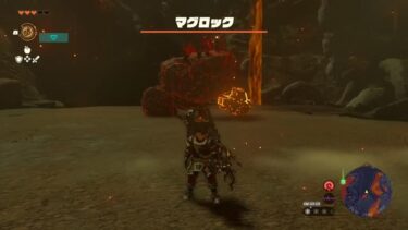 懸案のマグロックを倒せたぜ・・・！！